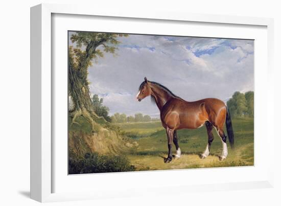 A Clydesdale Stallion, 1820-John Frederick Herring I-Framed Giclee Print