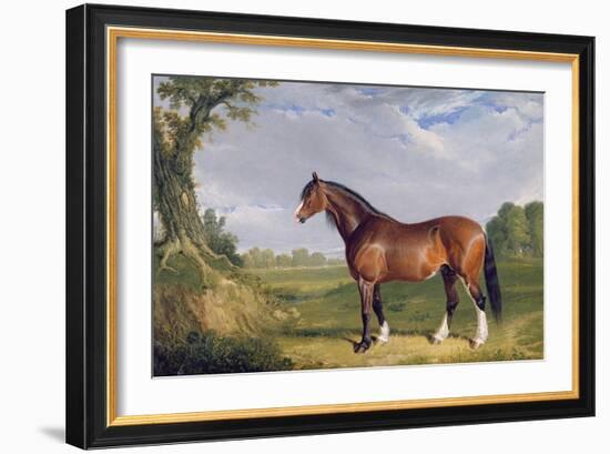 A Clydesdale Stallion, 1820-John Frederick Herring I-Framed Giclee Print