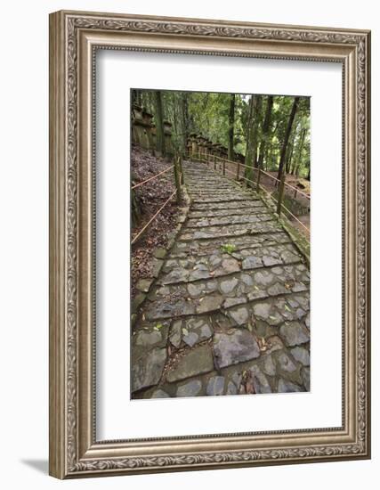 A Cobble Stone Path Leading Through the Grounds of Kasuga Taisha Shrine in Nara, Japan-Paul Dymond-Framed Photographic Print