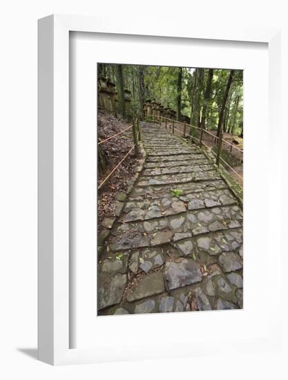 A Cobble Stone Path Leading Through the Grounds of Kasuga Taisha Shrine in Nara, Japan-Paul Dymond-Framed Photographic Print