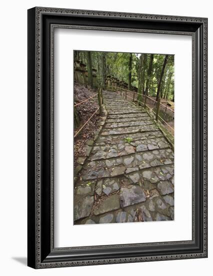 A Cobble Stone Path Leading Through the Grounds of Kasuga Taisha Shrine in Nara, Japan-Paul Dymond-Framed Photographic Print