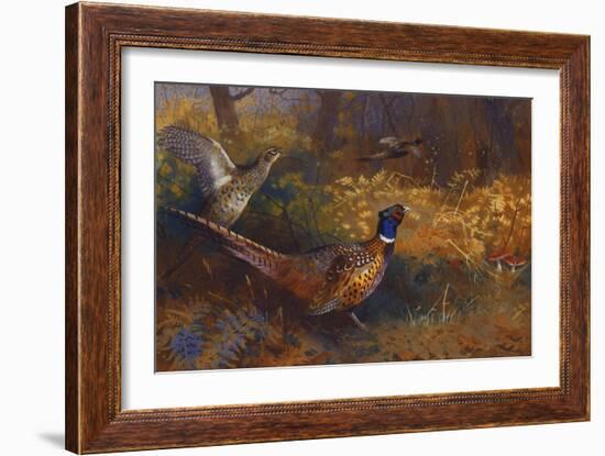 A Cock and Hen Pheasant at the Edge of a Wood, 1897-Archibald Thorburn-Framed Giclee Print