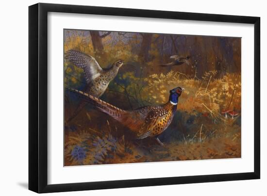 A Cock and Hen Pheasant at the Edge of a Wood, 1897-Archibald Thorburn-Framed Giclee Print