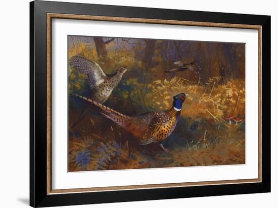 A Cock and Hen Pheasant at the Edge of a Wood, 1897-Archibald Thorburn-Framed Giclee Print