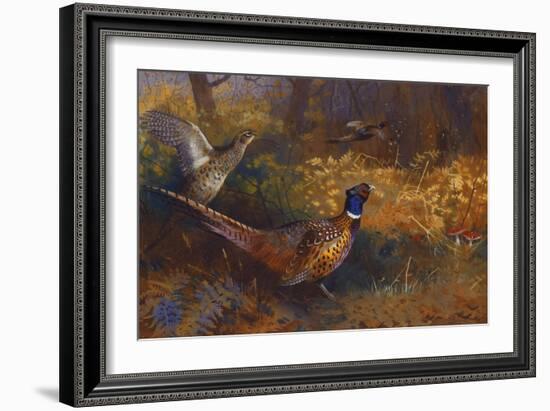 A Cock and Hen Pheasant at the Edge of a Wood, 1897-Archibald Thorburn-Framed Giclee Print