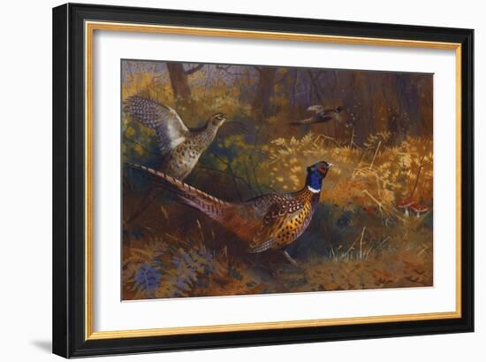 A Cock and Hen Pheasant at the Edge of a Wood, 1897-Archibald Thorburn-Framed Giclee Print