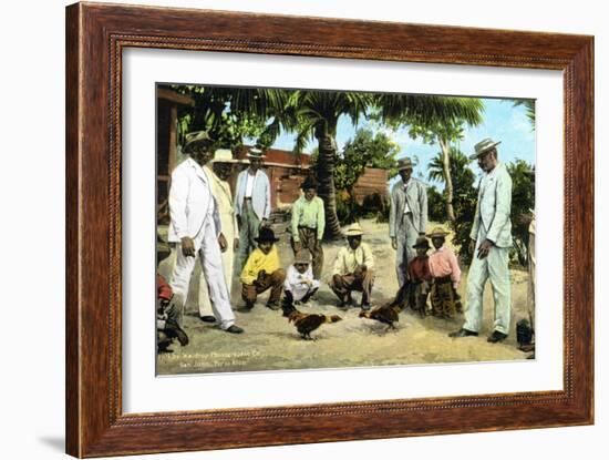 A Cock Fight, Puerto Rico, 1909-null-Framed Giclee Print