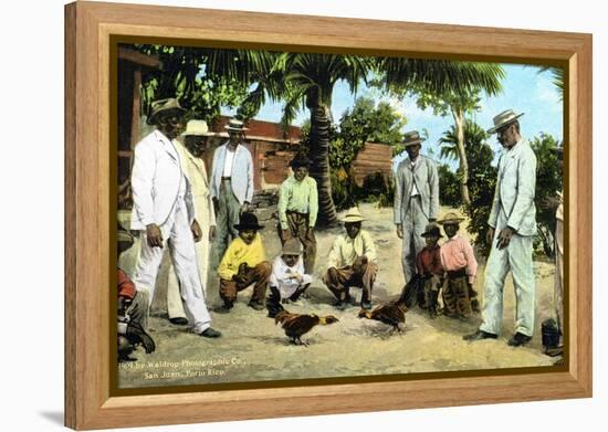 A Cock Fight, Puerto Rico, 1909-null-Framed Premier Image Canvas