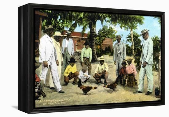 A Cock Fight, Puerto Rico, 1909-null-Framed Premier Image Canvas