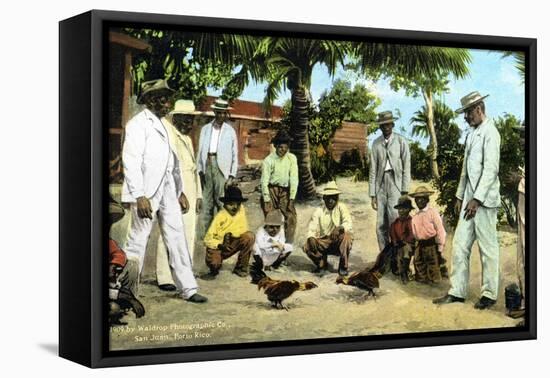 A Cock Fight, Puerto Rico, 1909-null-Framed Premier Image Canvas