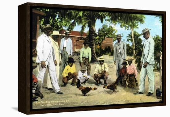 A Cock Fight, Puerto Rico, 1909-null-Framed Premier Image Canvas