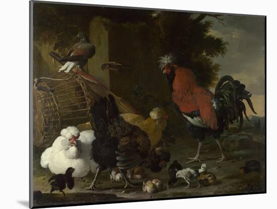 A Cock, Hens and Chicks, Ca 1668-1670-Melchior de Hondecoeter-Mounted Giclee Print