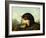 A Cocker Spaniel with a Woodcock-Arthur Fitzwilliam Tait-Framed Giclee Print