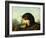 A Cocker Spaniel with a Woodcock-Arthur Fitzwilliam Tait-Framed Giclee Print