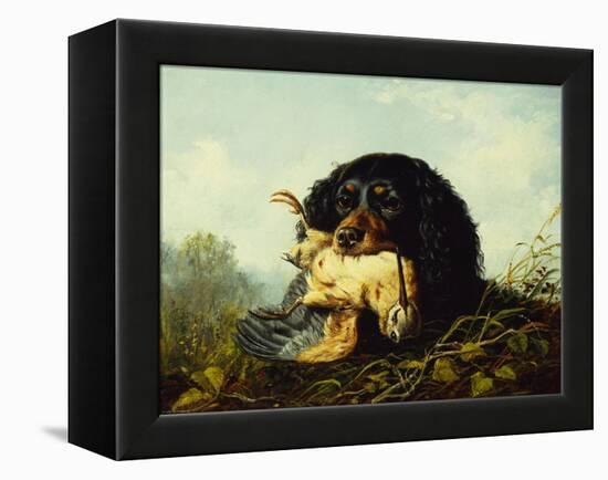 A Cocker Spaniel with a Woodcock-Arthur Fitzwilliam Tait-Framed Premier Image Canvas