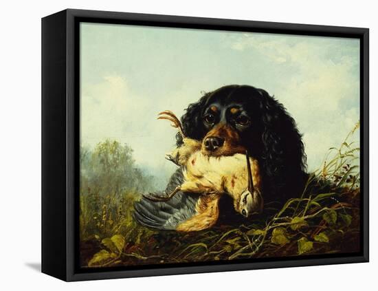 A Cocker Spaniel with a Woodcock-Arthur Fitzwilliam Tait-Framed Premier Image Canvas