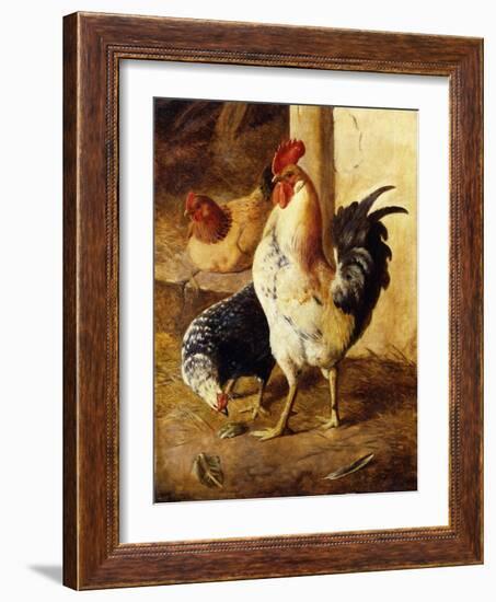 A Cockerel and Chickens in a Farmyard-Federico Jimenez Fernandez-Framed Giclee Print