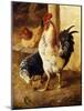 A Cockerel and Chickens in a Farmyard-Federico Jimenez Fernandez-Mounted Giclee Print