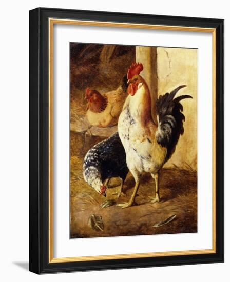 A Cockerel and Chickens in a Farmyard-Federico Jimenez Fernandez-Framed Giclee Print