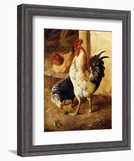 A Cockerel and Chickens in a Farmyard-Federico Jimenez Fernandez-Framed Giclee Print