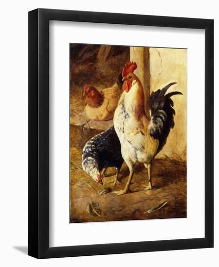 A Cockerel and Chickens in a Farmyard-Federico Jimenez Fernandez-Framed Giclee Print