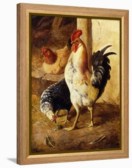 A Cockerel and Chickens in a Farmyard-Federico Jimenez Fernandez-Framed Premier Image Canvas