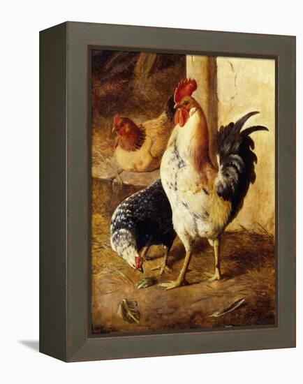 A Cockerel and Chickens in a Farmyard-Federico Jimenez Fernandez-Framed Premier Image Canvas