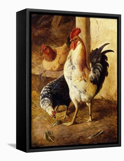 A Cockerel and Chickens in a Farmyard-Federico Jimenez Fernandez-Framed Premier Image Canvas