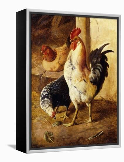 A Cockerel and Chickens in a Farmyard-Federico Jimenez Fernandez-Framed Premier Image Canvas