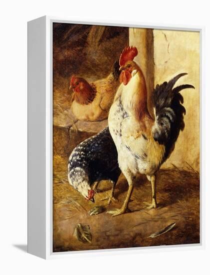 A Cockerel and Chickens in a Farmyard-Federico Jimenez Fernandez-Framed Premier Image Canvas