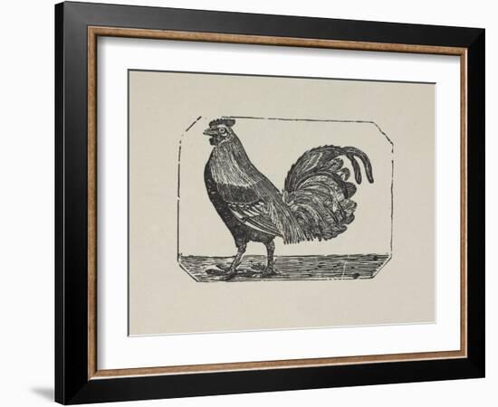 A Cockerel.-Thomas Bewick-Framed Giclee Print