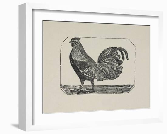 A Cockerel.-Thomas Bewick-Framed Giclee Print