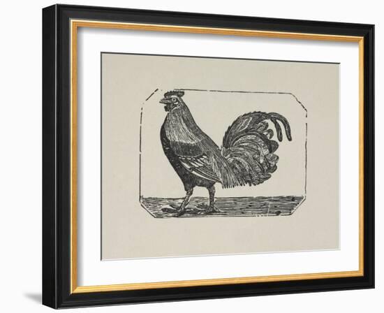 A Cockerel.-Thomas Bewick-Framed Giclee Print