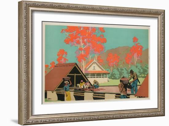 A Cocoa Estate in Trinidad-Frank Newbould-Framed Giclee Print