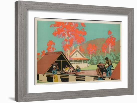 A Cocoa Estate in Trinidad-Frank Newbould-Framed Giclee Print