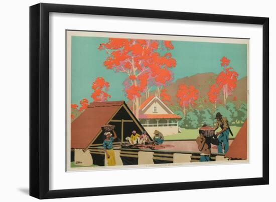 A Cocoa Estate in Trinidad-Frank Newbould-Framed Giclee Print