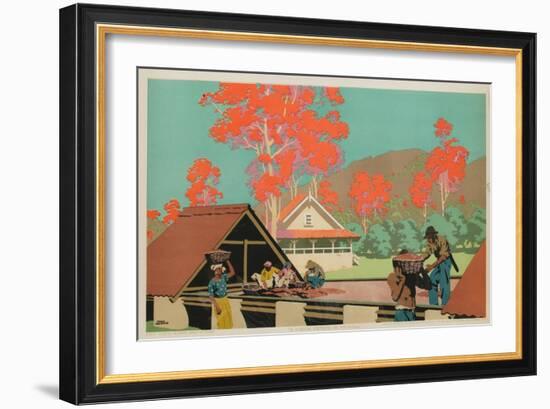 A Cocoa Estate in Trinidad-Frank Newbould-Framed Giclee Print