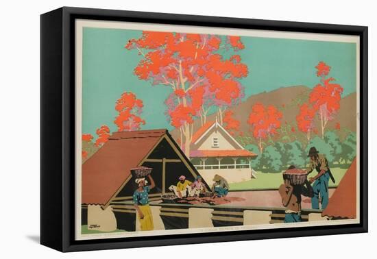 A Cocoa Estate in Trinidad-Frank Newbould-Framed Premier Image Canvas