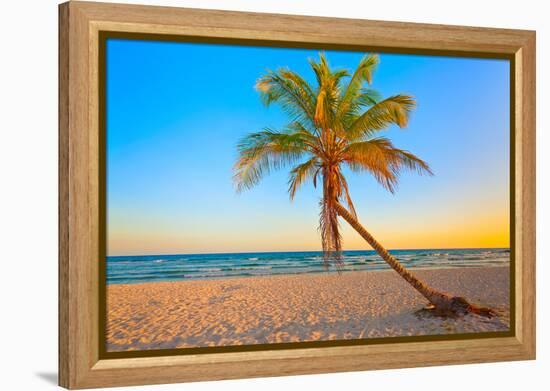 A Coconut Tree on a Deserted Tropical Beach at Sunset-Kamira-Framed Premier Image Canvas