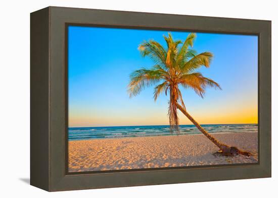 A Coconut Tree on a Deserted Tropical Beach at Sunset-Kamira-Framed Premier Image Canvas