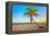 A Coconut Tree on a Deserted Tropical Beach at Sunset-Kamira-Framed Premier Image Canvas