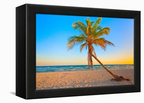 A Coconut Tree on a Deserted Tropical Beach at Sunset-Kamira-Framed Premier Image Canvas