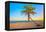 A Coconut Tree on a Deserted Tropical Beach at Sunset-Kamira-Framed Premier Image Canvas