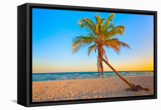 A Coconut Tree on a Deserted Tropical Beach at Sunset-Kamira-Framed Premier Image Canvas