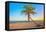 A Coconut Tree on a Deserted Tropical Beach at Sunset-Kamira-Framed Premier Image Canvas