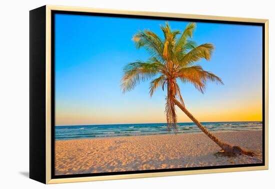 A Coconut Tree on a Deserted Tropical Beach at Sunset-Kamira-Framed Premier Image Canvas