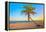 A Coconut Tree on a Deserted Tropical Beach at Sunset-Kamira-Framed Premier Image Canvas