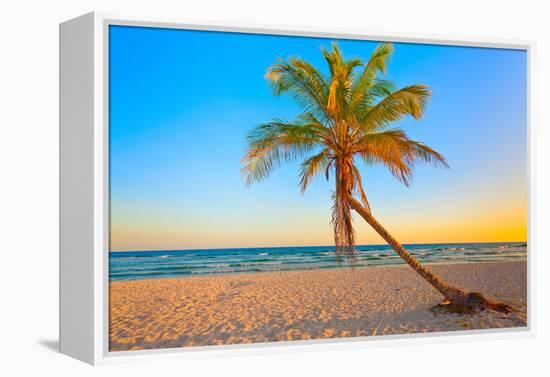 A Coconut Tree on a Deserted Tropical Beach at Sunset-Kamira-Framed Premier Image Canvas