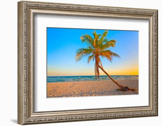 A Coconut Tree on a Deserted Tropical Beach at Sunset-Kamira-Framed Photographic Print