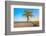 A Coconut Tree on a Deserted Tropical Beach at Sunset-Kamira-Framed Photographic Print